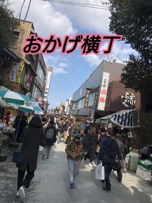 19-03-30-10-01-59-654_deco.jpgb   isejinngugu.jpg